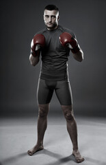 Fototapeta na wymiar MMA fighter training