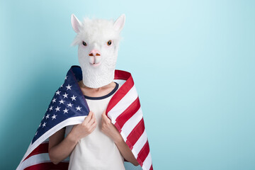Young woman in alpaca mask hold USA US United States flag wrapped around the shoulders, isolated on blue background with copy-space.