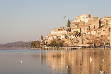 Fototapeta na wymiar flock of seagulls on lake Bracciano in Italy