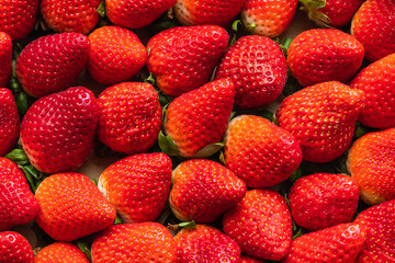 close-up on delicious red strawberries tightly arranged on a background - 422532593