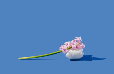 Spring creative concept made of pink hyacinth on white pillow and sunny day shadow. Blue background. Minimal composition.