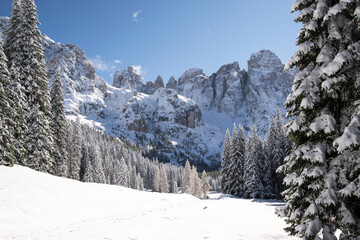 Val Venegia autunno sotto la neve, paesaggio innevato delle Pale di San Martino. Dolomiti innevate