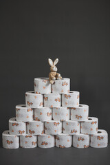 toilet paper and easter rabbit on a grey background