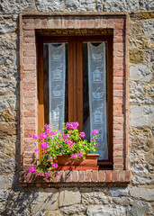 Fototapeta na wymiar Beautiful pink geraniums fill a flower box next to a window in Castellini, Italy