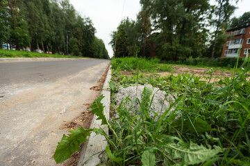 sidewalk and green grass. asphalt pedestrian path along the unkempt lawn