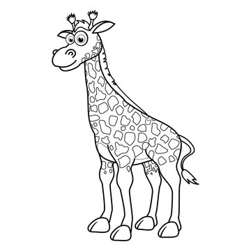 Colorless cartoon Giraffe stands and smiles. Coloring pages. Template page for coloring book of funny Calf for kids. Practice worksheet or Anti-stress page for child. Cute outline education game.