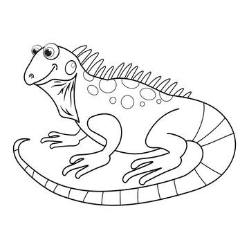 Colorless cartoon Iguana. Coloring pages. Template page for coloring book of funny lizard or salamander for kids. Practice worksheet or Anti-stress page for child. Cute outline education game. EPS10