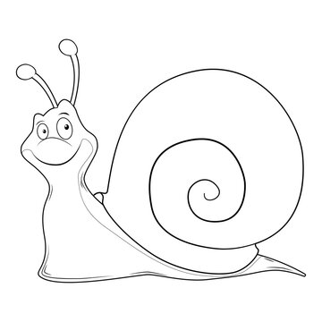 Colorless cartoon Snail or Slug. Coloring pages. Template page for coloring book of funny Shellfish for kids. Practice worksheet or Anti-stress page for child. Cute outline education game.Vector EPS10