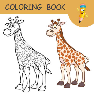 Coloring book with fun character Giraffe. Colorless and color samples baby giraffe on coloring page for kids. Coloring design in cute cartoon style. Black contour silhouette with a sample for coloring