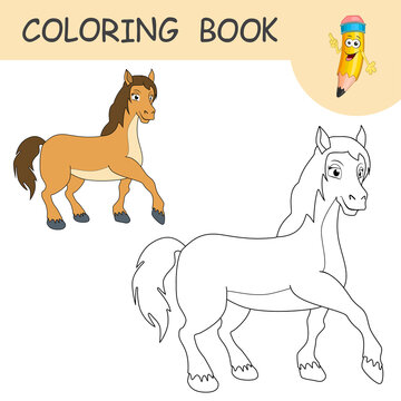 Coloring book with fun character Horse or Pony. Colorless and color samples Mare on coloring page for kids. Coloring design in cute cartoon style. Black contour silhouette with a sample for coloring.