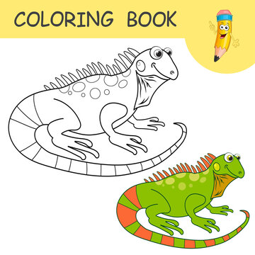 Coloring book with fun character Iguana. Colorless and color samples salamander on coloring page for kids. Coloring design in cute cartoon style. Black contour silhouette with a sample for coloring.