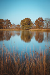 Lovely View over a Small Lake in Drenthe, The Netherlands during Fall or Autumn