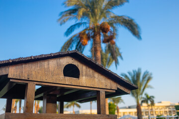 Garden big wooden bird feeder outdoors in tropical resort