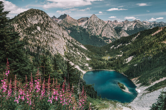 A view of the beautiful blue waters of Lake Ann with surrounding pine trees, pink wildflowers and the mountain peaks of the North Cascades shown from the Maple Pass Loop Trail in Washington, USA.