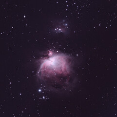 Obraz na płótnie Canvas Astrophotographie de la nébuleuse d'Orion M42 depuis la campagne Suisse