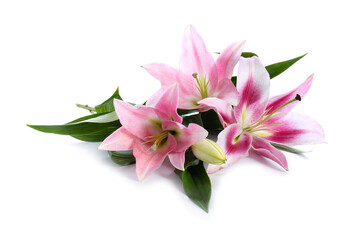 Beautiful lilies on white background