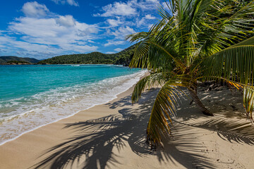 Obraz na płótnie Canvas Jumbi bay beach on the tropical island of St John
