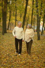 Happy senior woman and man  in park walking