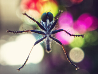 Hey there, seeing you through the glass