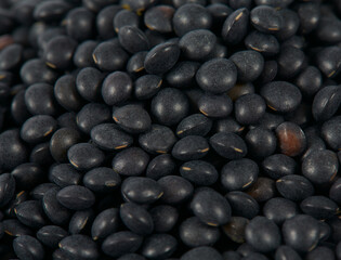black lentils isolated on white background