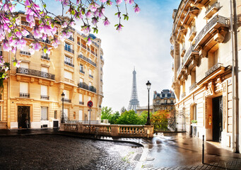 eiffel tour and Paris street © neirfy