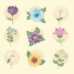 flowers nine icons