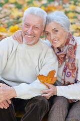 Happy senior couple posing  in park