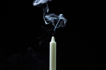 Green plant on a white surface. Twining plant on a white background. A photo of a plant with a low depth of field