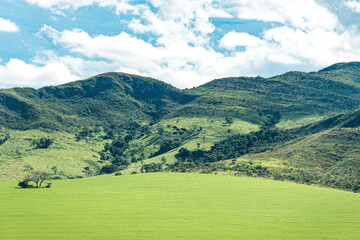 Fototapeta na wymiar Beautiful landscape of a farm field near the hills, green field on a blue sky day. Landscape of the Canastra Sierra region at São Roque de Minas, MG, Brazil.