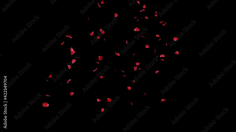 Poster falling of red rose petals 2 clip with alpha channel. fall start to end and seamless loop easy to us