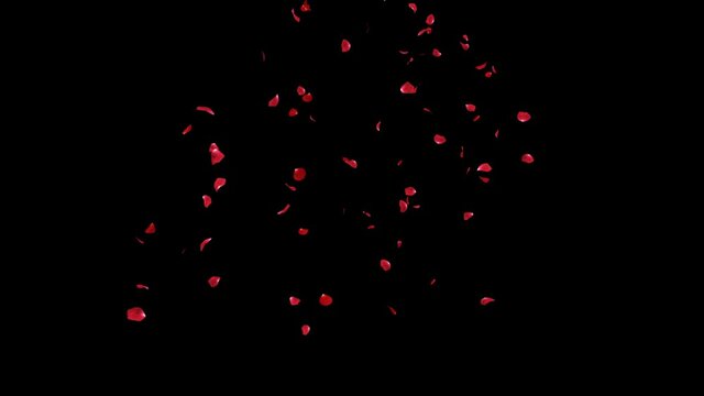Falling of Red Rose Petals 2 clip with Alpha Channel. Fall start to end and seamless loop easy to use place on footage or background.