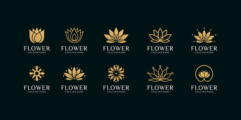 Set of flower leaf beauty logo design vector template