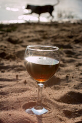 a glass of wine at sunset. Summer nature