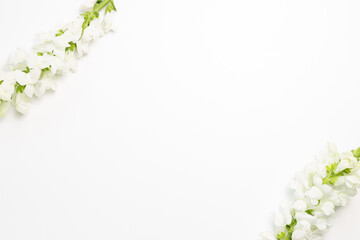 Fototapeta na wymiar White snapdragon flowers on white background. flat lay, top view, copy space