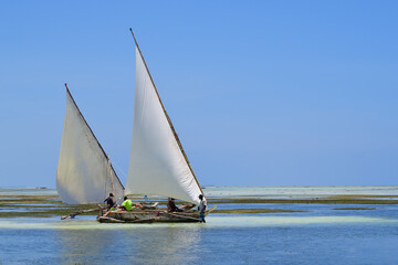 fishing outrigger dhow moored alomg the beach