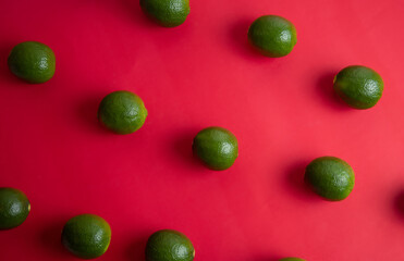 Persian lime (Limão-taiti) on red background 