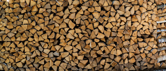 丸太と年輪のイメージ