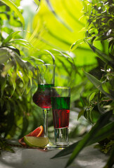 Layered shots cocktail in the tropical forest with slices of fresh lime and bloody orange under the sun.Close up of summer cocktail.