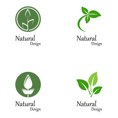 Leaf icon Vector Illustration design Logo template