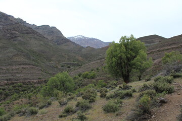 Mirador de cóndores, cajón del Maipo. Chile