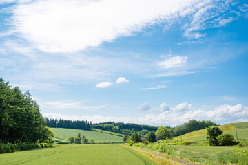青空と夏の美瑛の丘