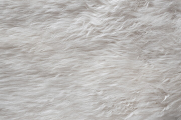 white soft sheep fur, sheep wool, wool skin texture