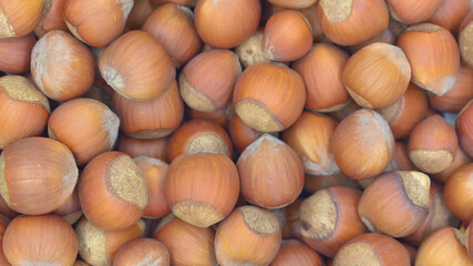 Background of hazelnuts