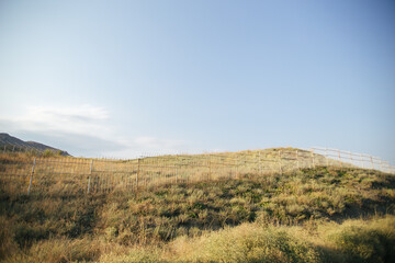 Fototapeta premium field against the sky 