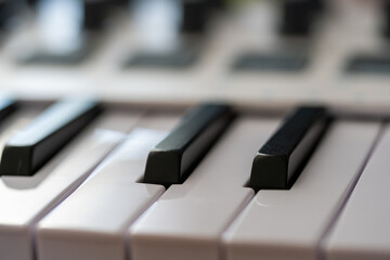 Piano keyboard with white and black buttons