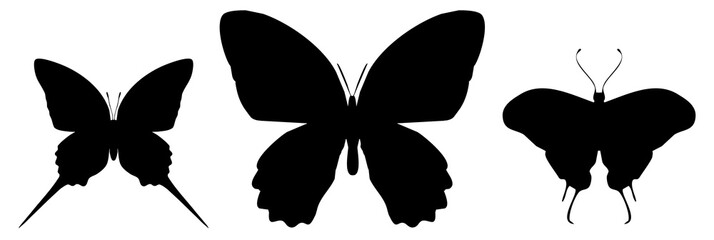 Three black butterflies icon, isolated on white background