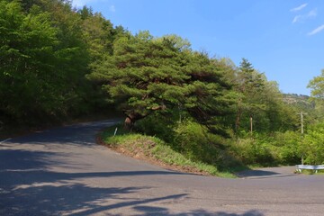 福島県道52号　土湯温泉線の急カーブ