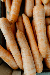 A handful of organic carrots