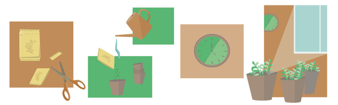 how to grow a salad or plant at home set, a cute illustration about gardening in an apartment, for blogs and sites about gardening and leisure, on a white background