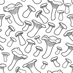 Seamless background. Hand drawing chanterelle mushrooms. Realistic illustration of forest mushrooms isolated on white. Coloring page. Black outline. 